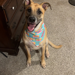 Fundraising Page: Thomas Borck